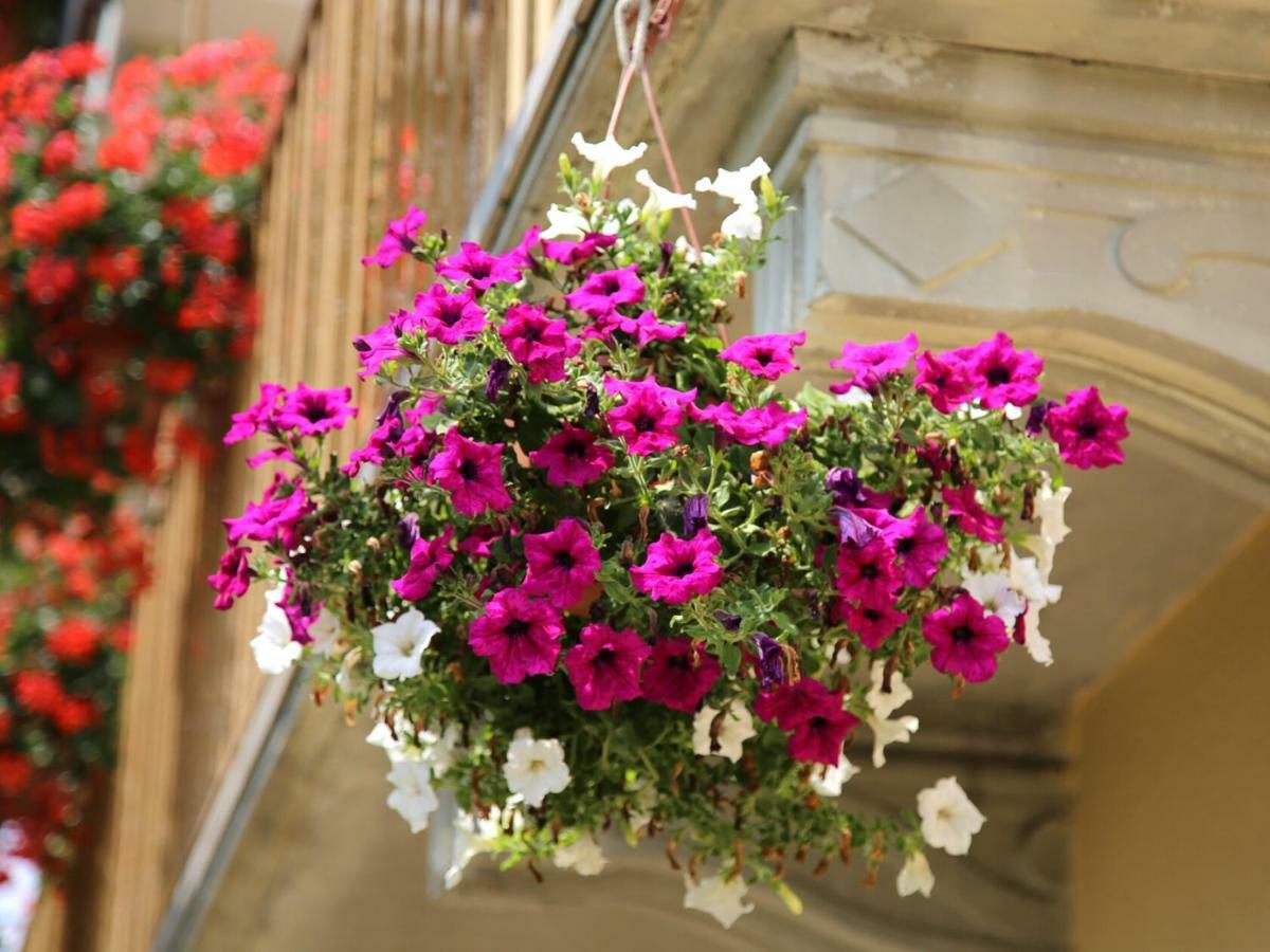 La Bella Dormiente Bed and breakfast